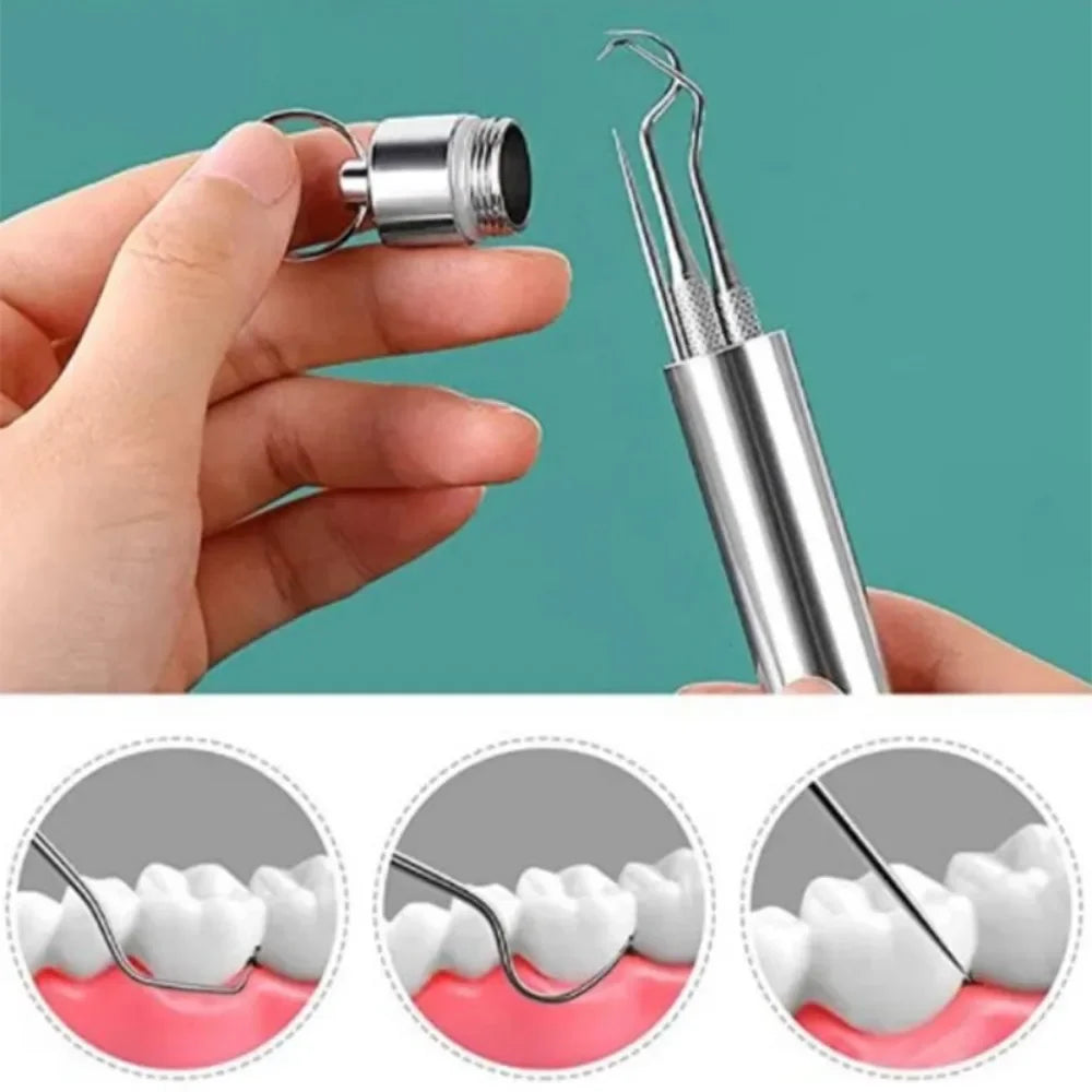 Stainless Steel Toothpick Set
