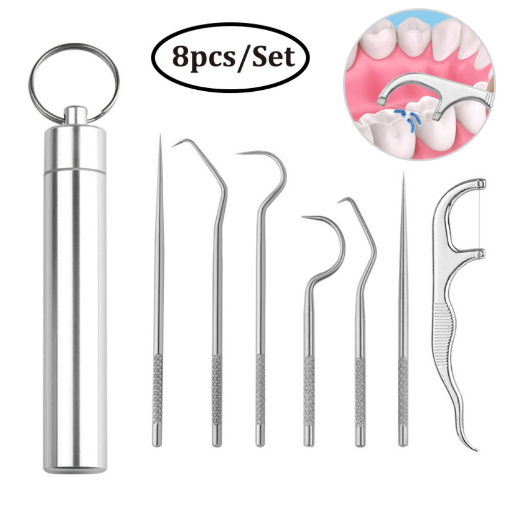 Stainless Steel Toothpick Set