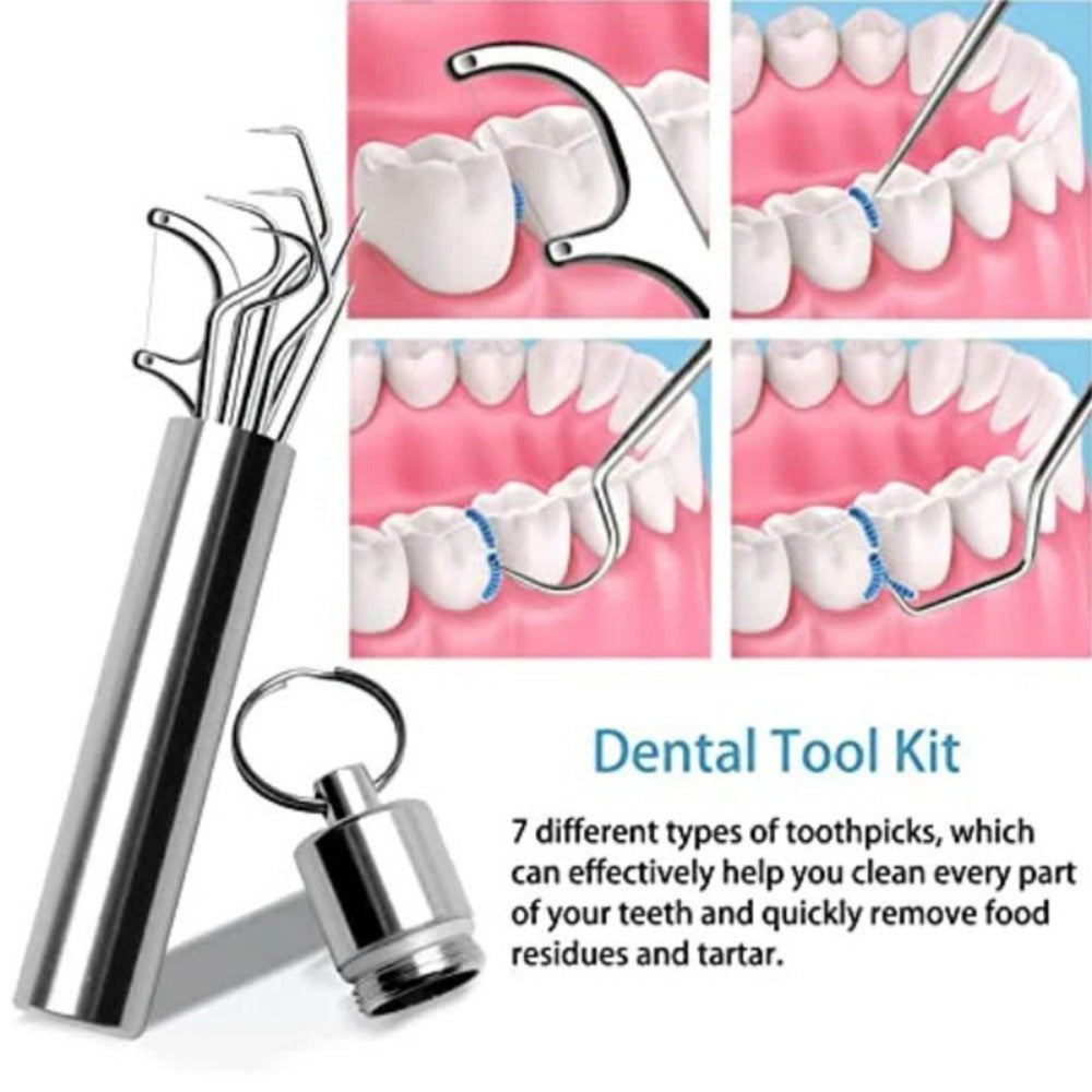 Stainless Steel Toothpick Set