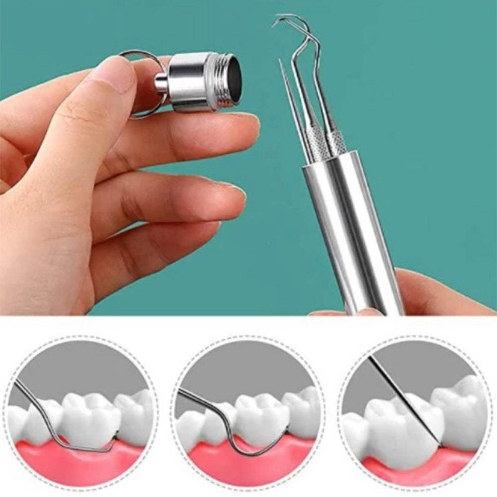 Stainless Steel Toothpick Set
