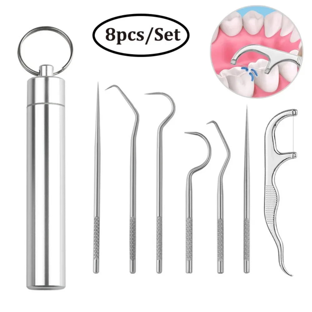 Stainless Steel Toothpick Set