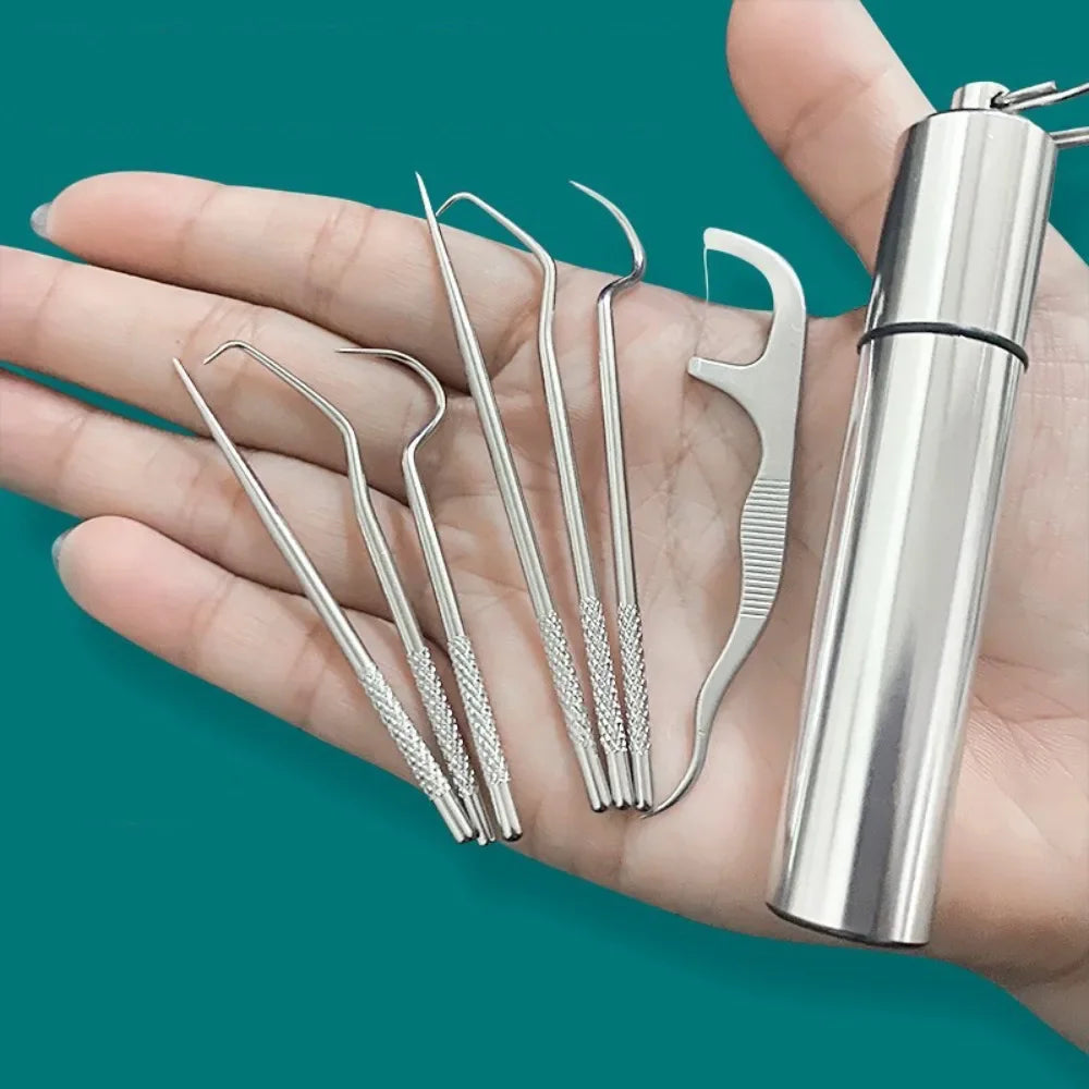 Stainless Steel Toothpick Set